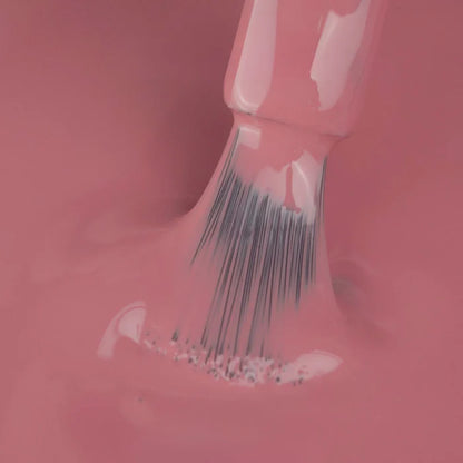 Gel Color - Little Susie - Col. INVIERNO